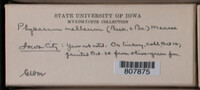 Image Associated With the Occurence